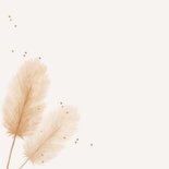 Condoleancekaartje sterkte pampasgras natuurlijk beige 2