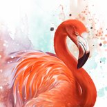 Dierenkaart flamingo waterverf 2