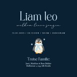  Donker blauw geboortekaartje met schattige baby pinguin Achterkant