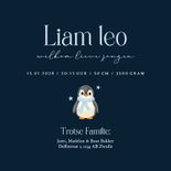  Donker blauw geboortekaartje met schattige baby pinguin Achterkant