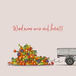 Driewieler met fruit 3