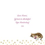 Een lieve kitten voor de liefste mama 3