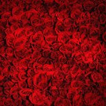 Een romantische anonieme valentijnskaart met rozen  2