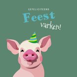 Feestvarken verjaardagskaart voor jong en oud 2