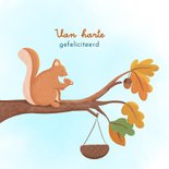 Felicitatie geboorte jongen eekhoorn met baby in bos 2