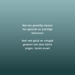  Felicitatie geboorte kleinzoon maan met wiegje en eekhoorn 3
