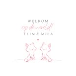 Felicitatie geboorte meisjes tweeling lijntekening katjes 2