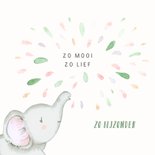Felicitatie geboorte - olifant met gekleurde spetters 2