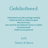 Felicitatie geboorte tweeling uiltjes jongens 3