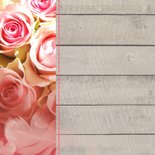 Felicitatie Hout rozen en veer jubileum 2