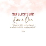 Felicitatie kleindochter beertje ballonnen 3