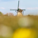 Felicitatie landschap met molen 2