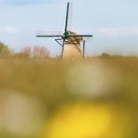 Felicitatie landschap met molen 2