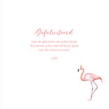 Felicitatie meisje flamingo foto 3