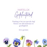 Felicitatie viooltjes 3