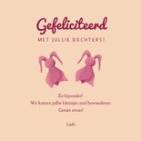 Felicitatie voor geboorte van meisjestweeling met knuffels 3