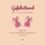 Felicitatie voor geboorte van meisjestweeling met knuffels 3