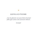 Felicitatiekaart broer of zus met olifantjes en hartjes 3