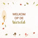 Felicitatiekaart dieren hallo kleine jongen 2
