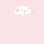 Felicitatiekaart flamingo geboorte 2