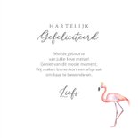 Felicitatiekaart flamingo geboorte 3