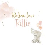 Felicitatiekaart foto olifant ballonnen ster roze 2