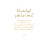 Felicitatiekaart geboorte kleinkind met leeuw quilt 3