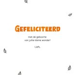 Felicitatiekaart geboorte met geschilderde vos 3