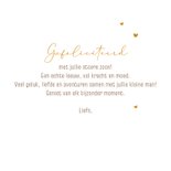 Felicitatiekaart geboorte met leeuwtje 3