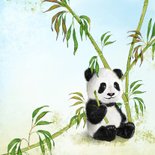 Felicitatiekaart geboorte met pandabeer 2