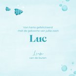 Felicitatiekaart geboorte met schildpad 3