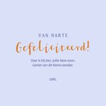 Felicitatiekaart geboorte tijger met wiegje en muis 3