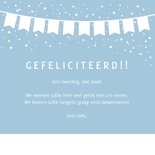 Felicitatiekaart geboorte tweeling 2 jongens met olifantjes 3