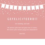 Felicitatiekaart geboorte tweeling 2 meisjes met olifantjes 3