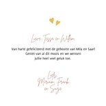 Felicitatiekaart geboorte tweeling ooievaren 3