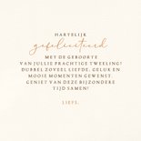 Felicitatiekaart giraffe tweeling 3