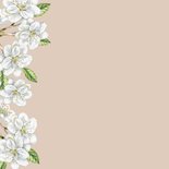 Felicitatiekaart huwelijksjubileum witte bloesem op fluweel 2