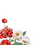 Felicitatiekaart huwelijksjubileum witte en rode pioenrozen 2