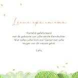 Felicitatiekaart kleinkind met hertjes 3