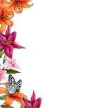 Felicitatiekaart lelies vlinders 2