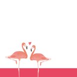 Felicitatiekaart Love birds flamingo's 2