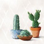 Felicitatiekaart met cactussen en succulent in pot 2