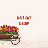 Felicitatiekaart met huisjes en bakfiets met bloemen 2