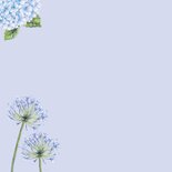 Felicitatiekaart pensioen hortensia hart 2