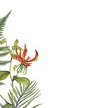 Felicitatiekaart tropische bloemen 2