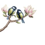 Felicitatiekaart trouwen magnolia vogels koolmees botanical 2