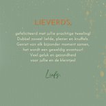 Felicitatiekaart tweeling eendjes onder bloemkelk 3