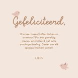Felicitatiekaartje drieling beige met waslijn en vogels 3