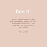 Felicitatiekaartje geboorte in aardetinten  3