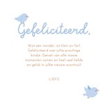 Felicitatiekaartje jongen met waslijn rompertje en vogels 3